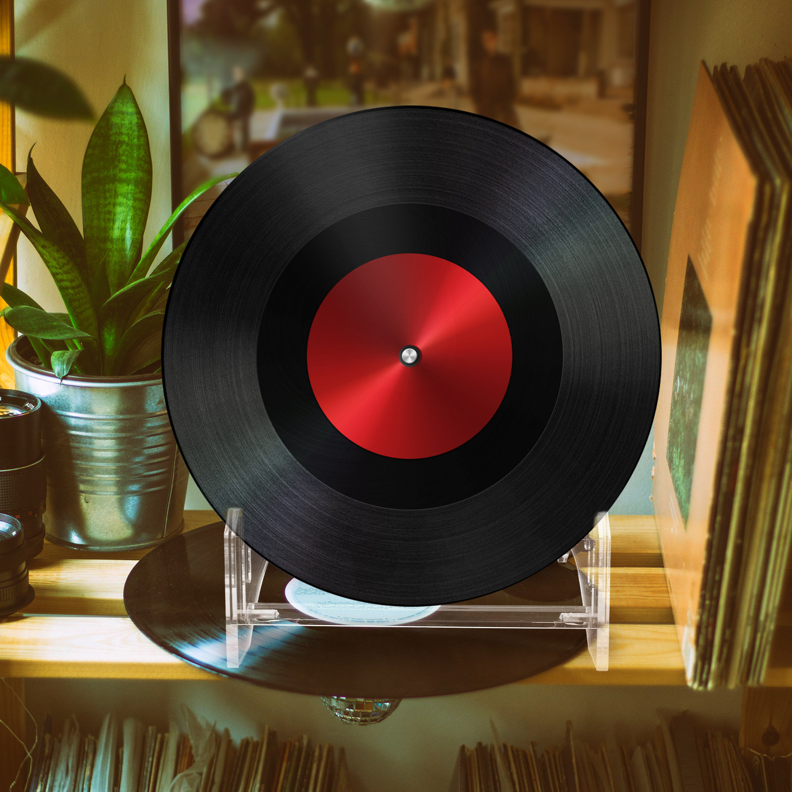 Suporte de Exibição de Discos  - Bookshelf avaliação e preço